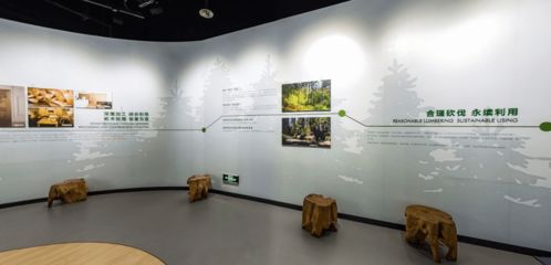 识木之魂，闻木之香，爱木之艺，用木之智——万林木文化展示馆设计鉴赏
